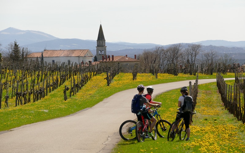 Vinska kolesarska pot Kras