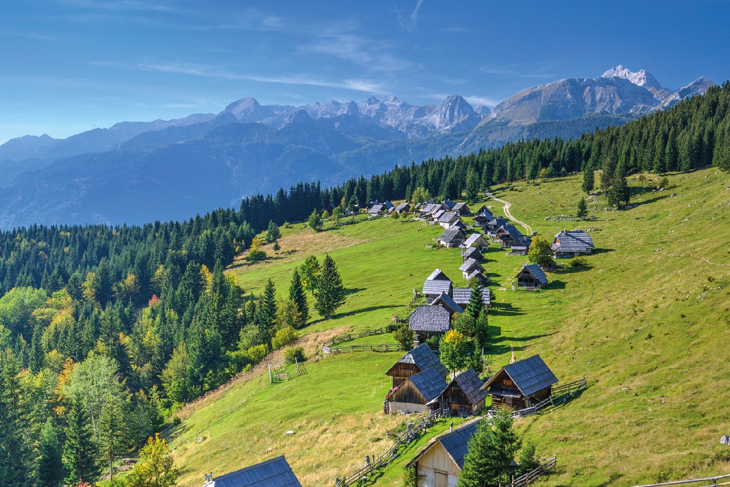 Hidden shepherd's paths of Pokljuka | greenhills.si