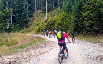 Bike tour Tržič cycling through forest