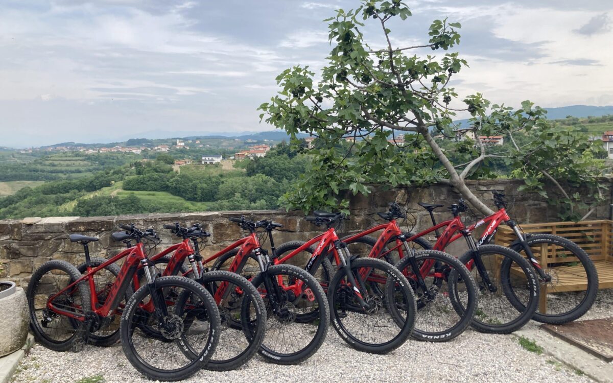 Cycling with electric MTB 