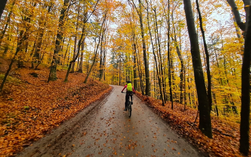 Bike tour Loka autum Bike tour Škofja Loka in autumn colours