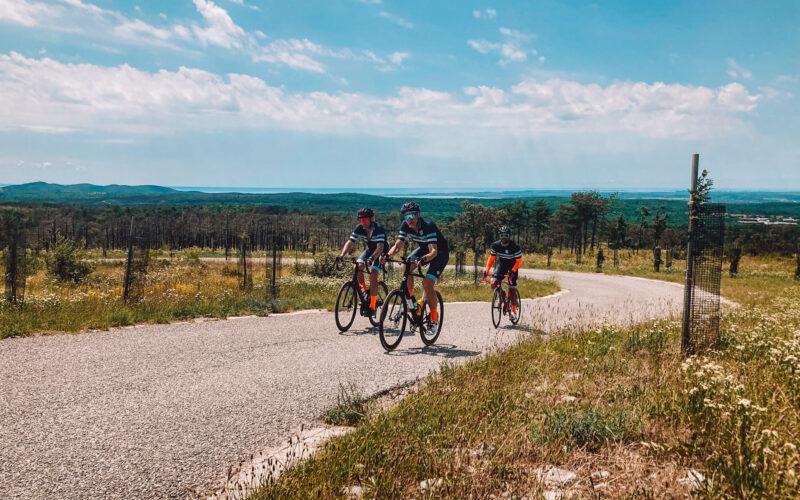 Biking in Slovenia in summer through the vineyards