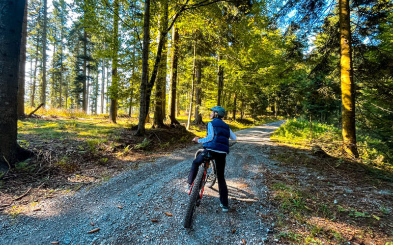 Biking in Slovenia in Summer in the forest