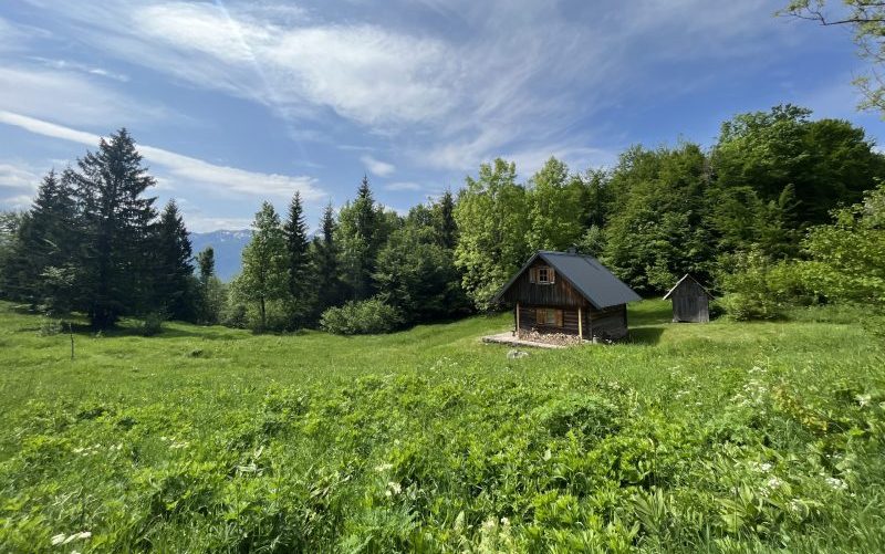 SLOwalk tours hidden gems of Slovenia